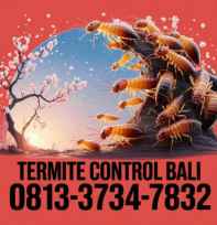 Anti Rayap Bali