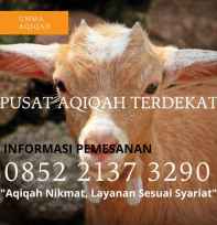 Umma Aqiqah