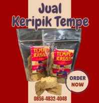 Keripik Tempe