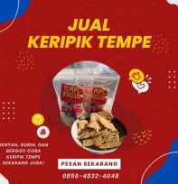 Keripik Tempe
