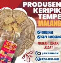 Keripik Tempe