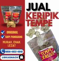 Keripik Tempe