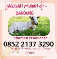 Ummu Aqiqah