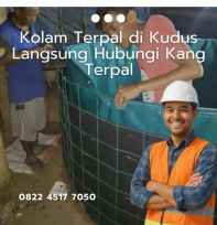 Kolam Ikan Lele