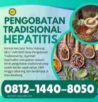 pengobatan hepatitis