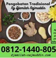 Pengobatan Dm Tipe 1