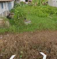 tanah pontianak kota