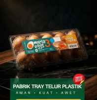 Tray Telur