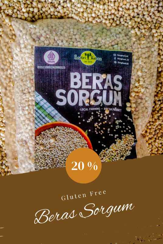 makanan dan minuman kuta