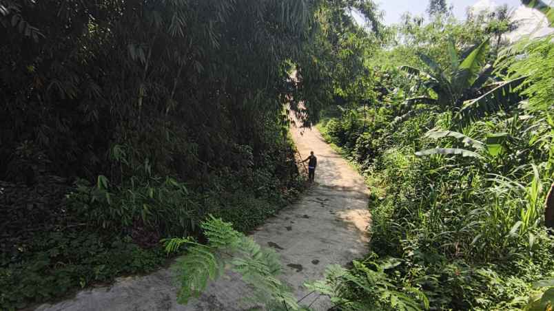 tanah dramaga