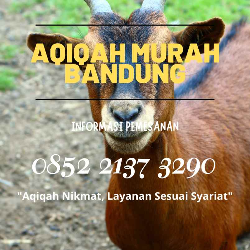 makanan dan minuman cicendo