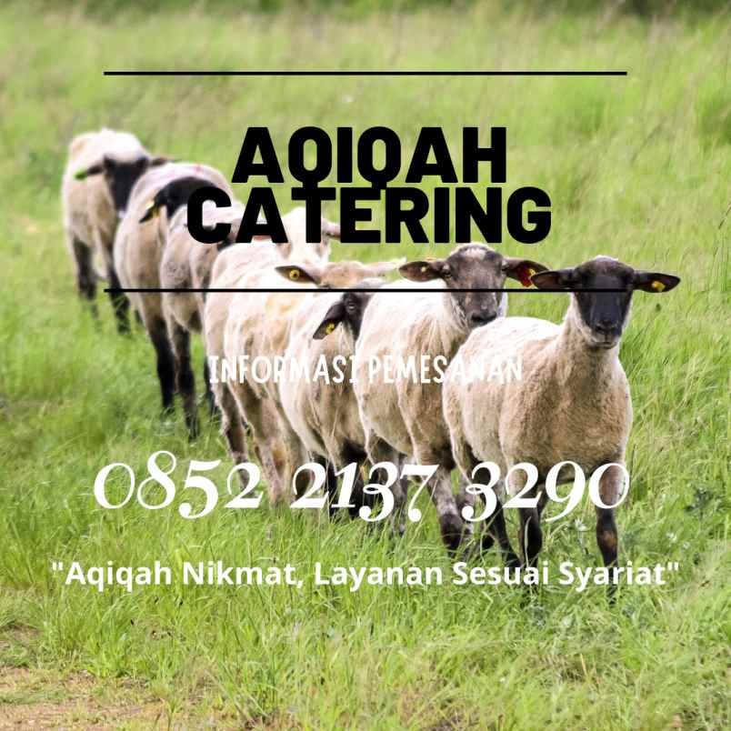 makanan dan minuman cicendo