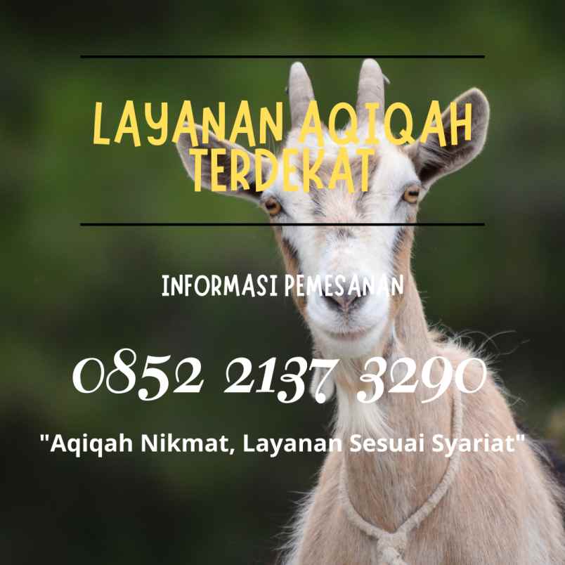 makanan dan minuman cicendo