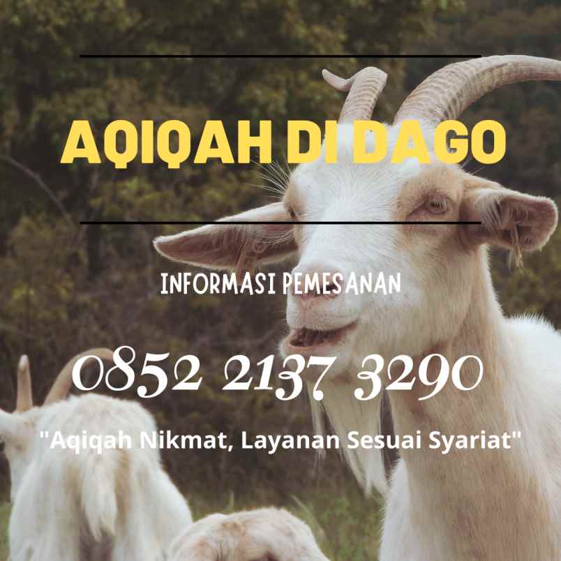 makanan dan minuman cicendo