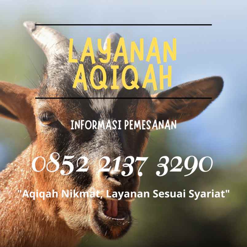 makanan dan minuman cicendo