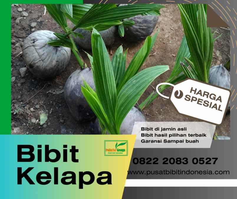 produk lain caringin