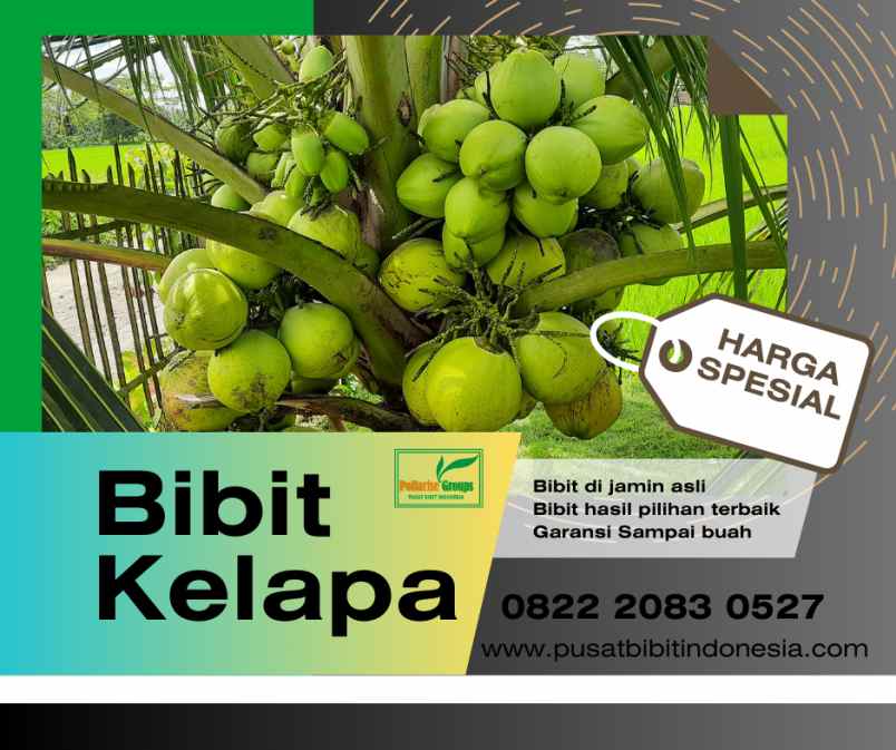 produk lain caringin