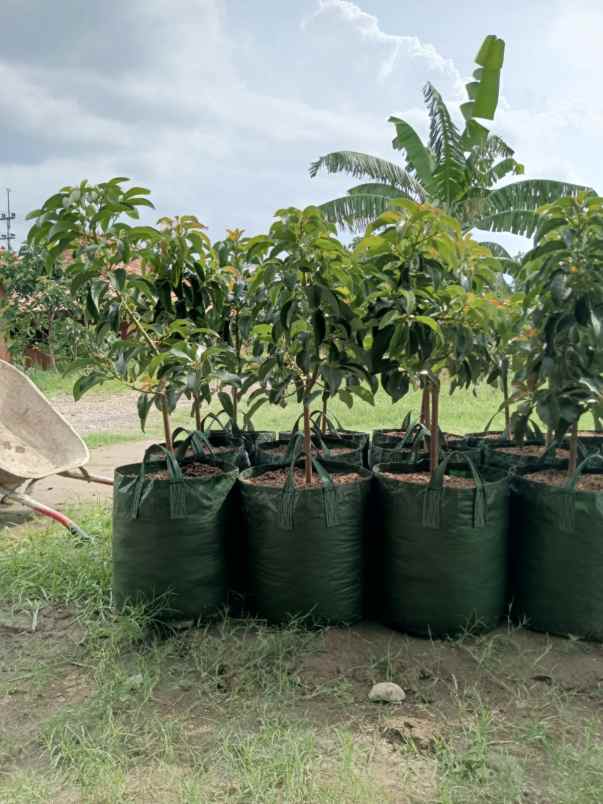 produk lain bangkalan