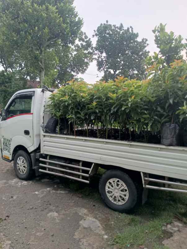 produk lain banyuwangi