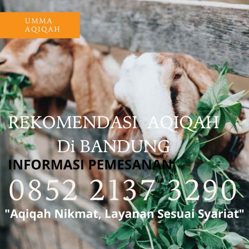 makanan dan minuman kiaracondong