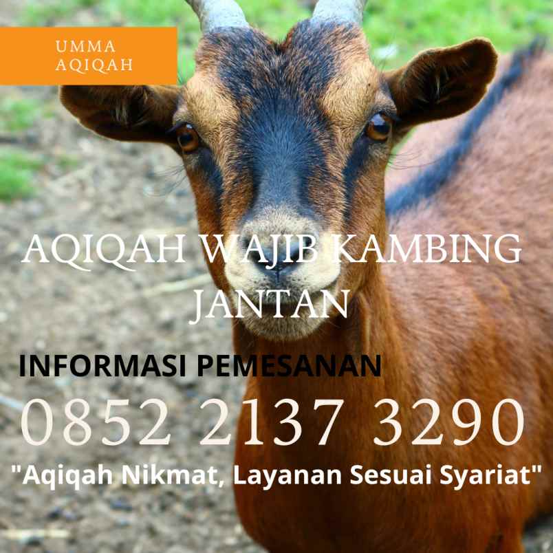 makanan dan minuman kiaracondong