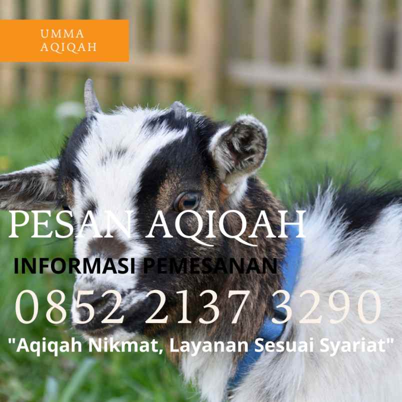 makanan dan minuman kiaracondong