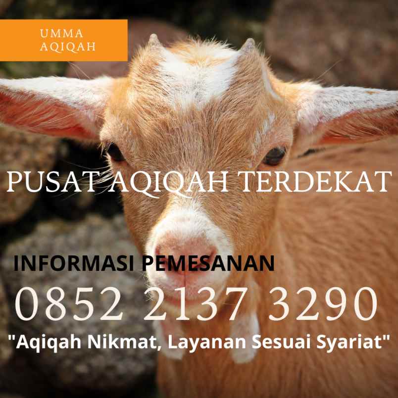 makanan dan minuman kiaracondong