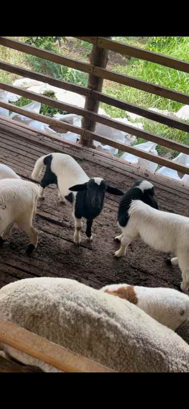 makanan dan minuman nganjuk