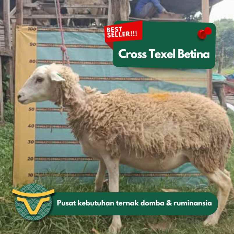 produk lain kertosono