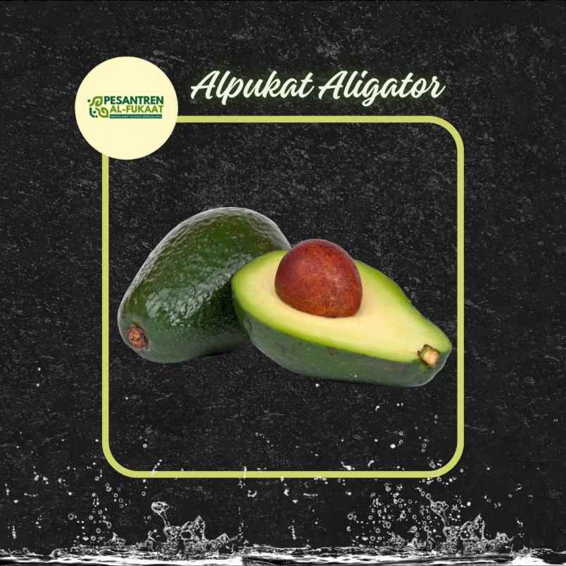 produk lain ngronggot