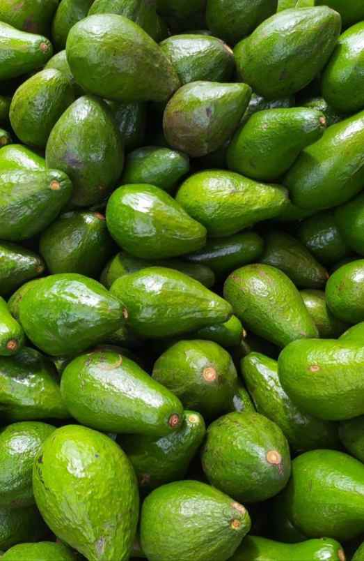 produk lain ngronggot