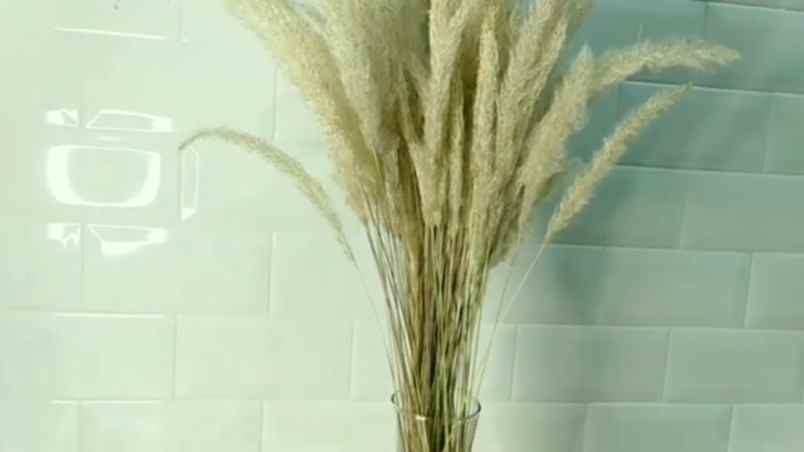 dekorasi rumah pameungpeuk