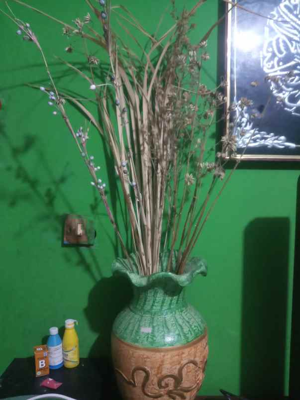 dekorasi rumah pameungpeuk