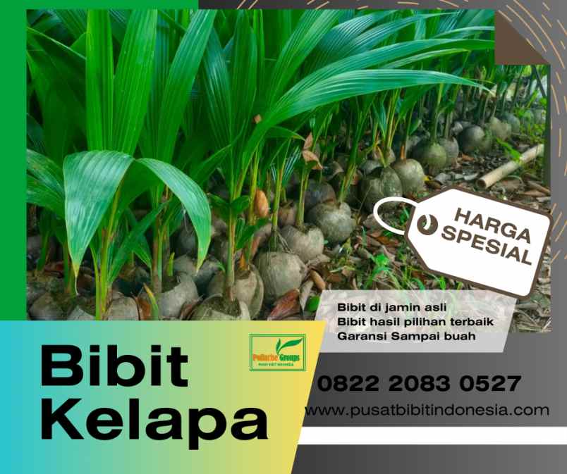 produk lain pekuncen