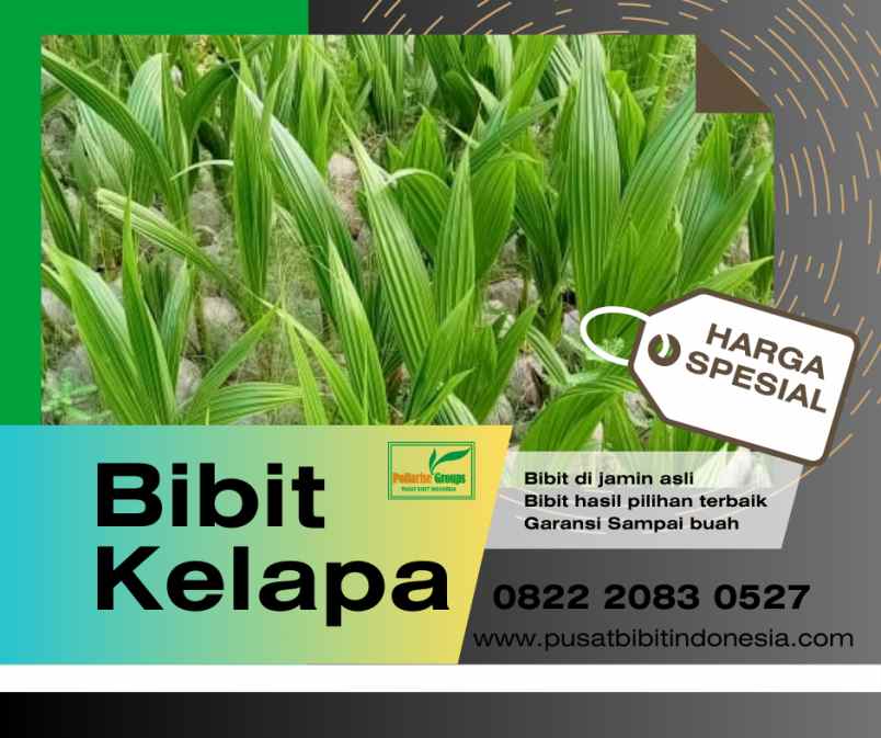 produk lain pekuncen