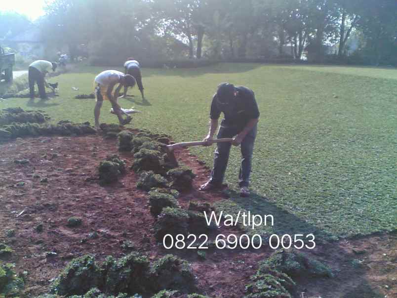 konstruksi dan taman alang alang lebar