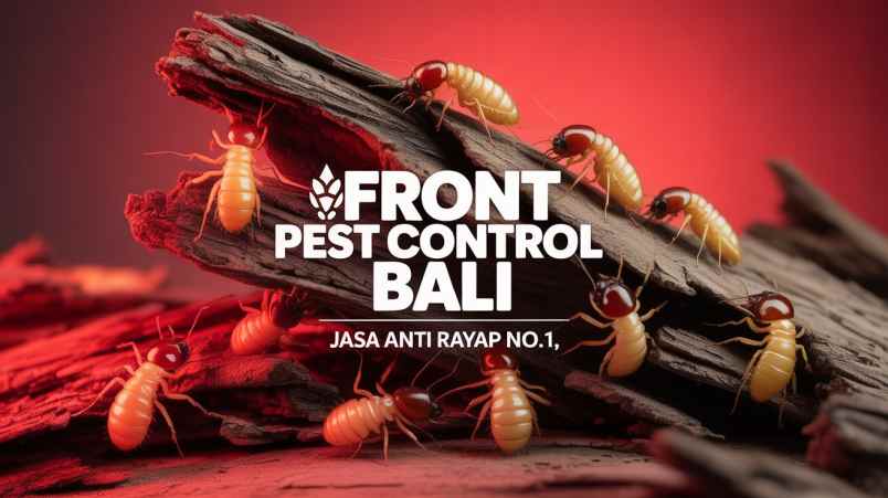 jasa lain denpasar utara