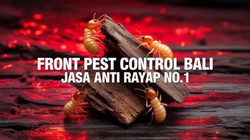 jasa lain denpasar utara