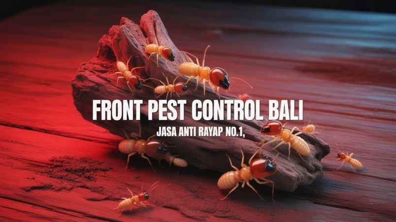 jasa lain denpasar utara