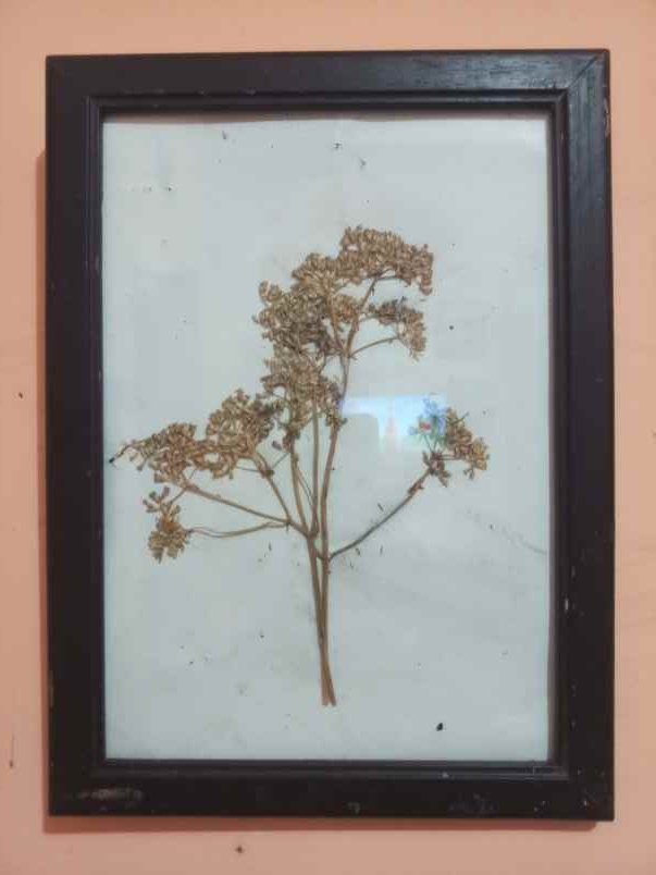 kerajinan pameungpeuk