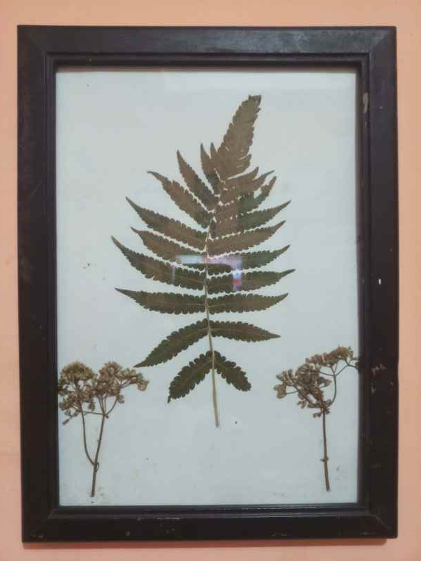 kerajinan pameungpeuk