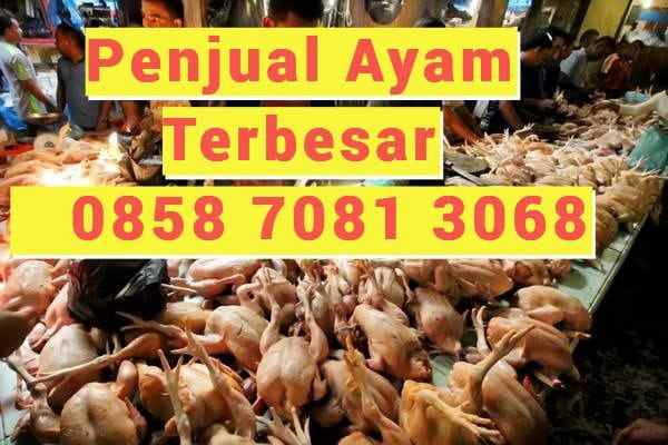 peralatan dapur karanganyar