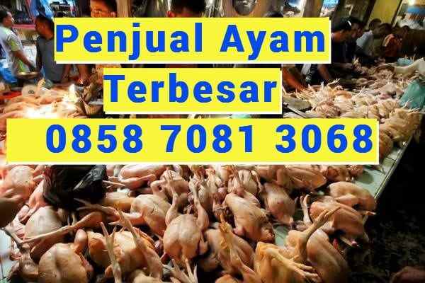 peralatan dapur karanganyar