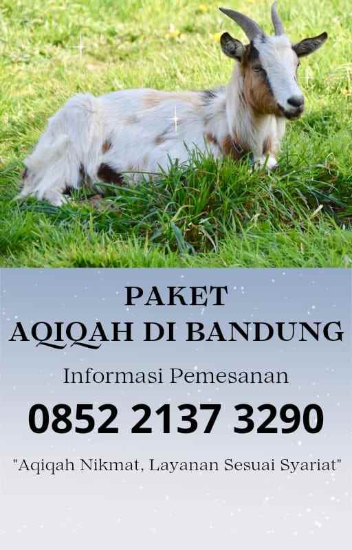 makanan dan minuman cihampelas