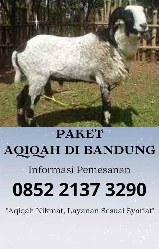 makanan dan minuman cihampelas