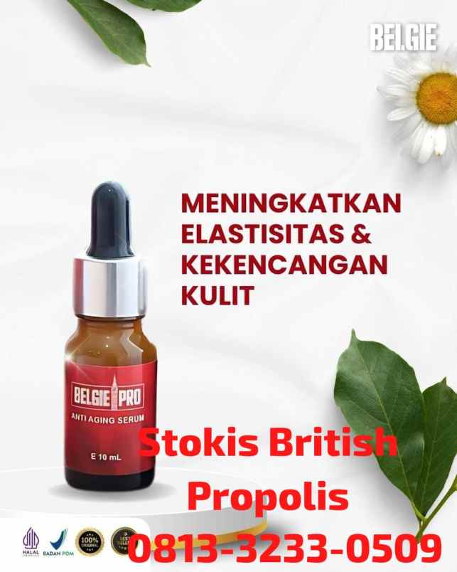 herbal dan suplemen gondang