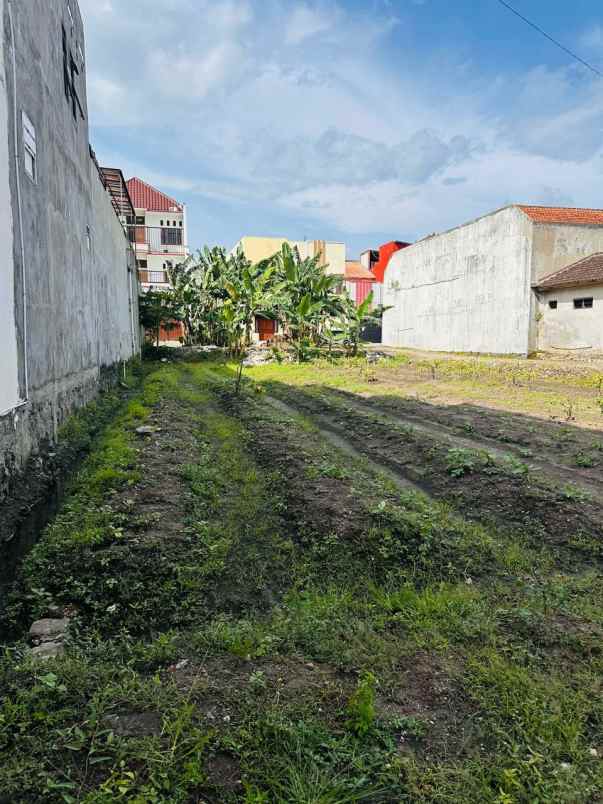 tanah sukoharjo
