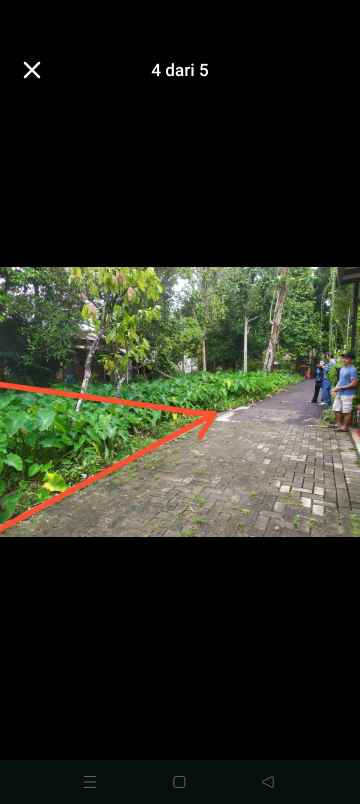 tanah pontianak