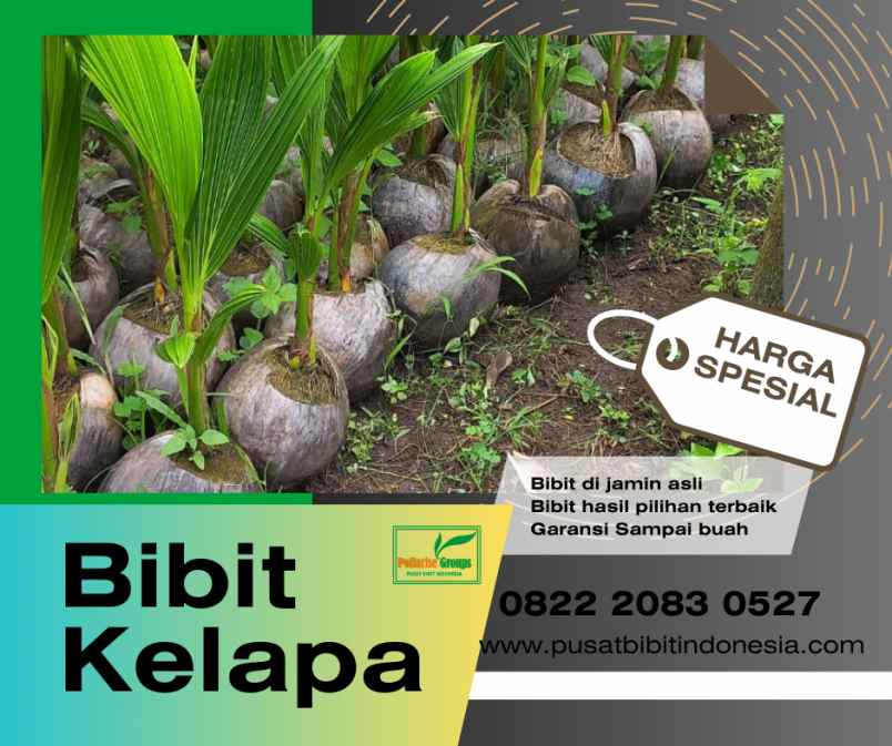 produk lain medan deli