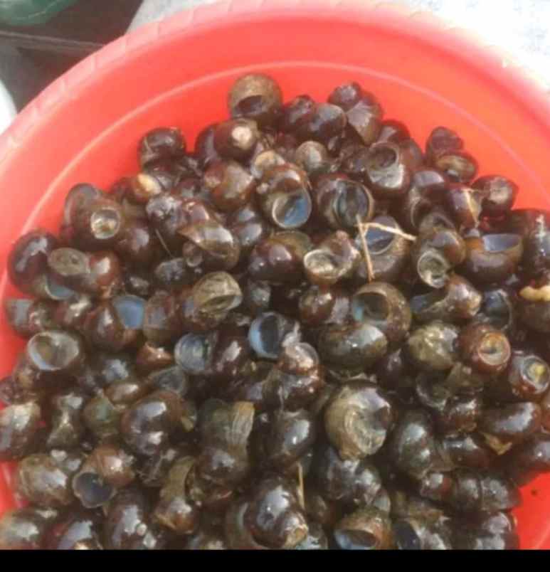 makanan dan minuman pameungpeuk